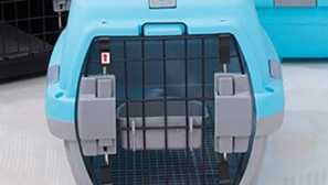 Aliexpress za mačke: odaberite prijenosnu ćeliju