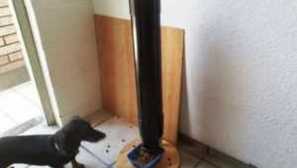 Automatski hranilica pasa i kako radi