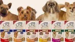 Pregled hrane za pse malih pasmina iz purin