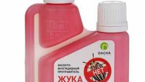 Priprema poštovanje iz colorado beetles osigurava učinkovitu borbu protiv kukaca i gljivičnih bolesti